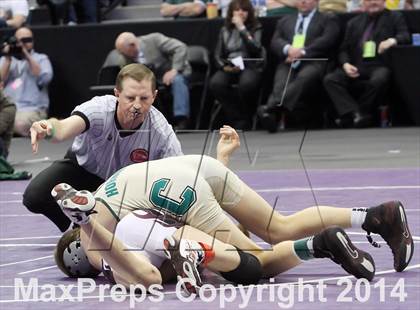 Thumbnail 3 in CHSAA 4A Wrestling Championships (Finals) photogallery.