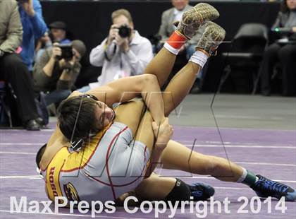 Thumbnail 3 in CHSAA 4A Wrestling Championships (Finals) photogallery.