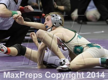 Thumbnail 2 in CHSAA 4A Wrestling Championships (Finals) photogallery.