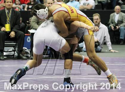 Thumbnail 3 in CHSAA 4A Wrestling Championships (Finals) photogallery.