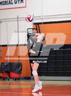 Photo from the gallery "Brunswick @ Gardiner"