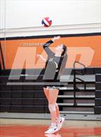 Photo from the gallery "Brunswick @ Gardiner"