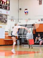 Photo from the gallery "Brunswick @ Gardiner"