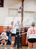 Photo from the gallery "Brunswick @ Gardiner"