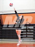 Photo from the gallery "Brunswick @ Gardiner"