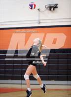 Photo from the gallery "Brunswick @ Gardiner"