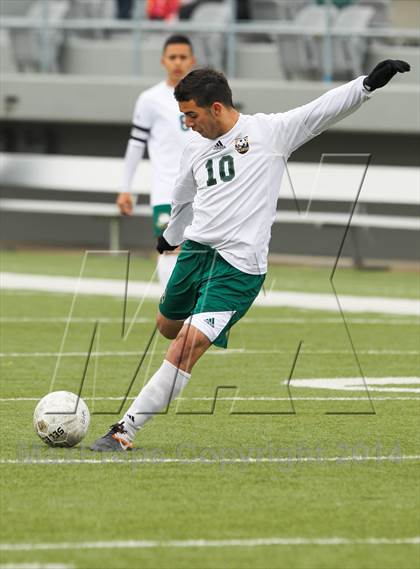 Thumbnail 1 in Ryan @ Birdville photogallery.