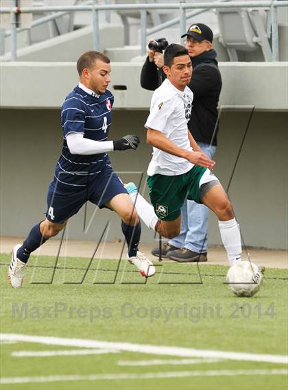 Thumbnail 2 in Ryan @ Birdville photogallery.