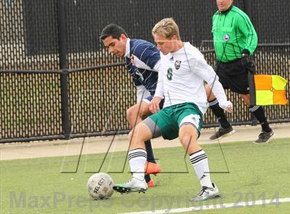 Thumbnail 2 in Ryan @ Birdville photogallery.