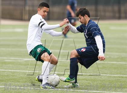 Thumbnail 3 in Ryan @ Birdville photogallery.