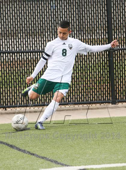 Thumbnail 3 in Ryan @ Birdville photogallery.