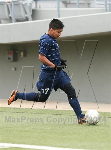 Thumbnail 3 in Ryan @ Birdville photogallery.