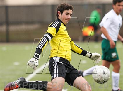 Thumbnail 3 in Ryan @ Birdville photogallery.