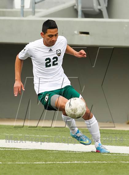 Thumbnail 3 in Ryan @ Birdville photogallery.