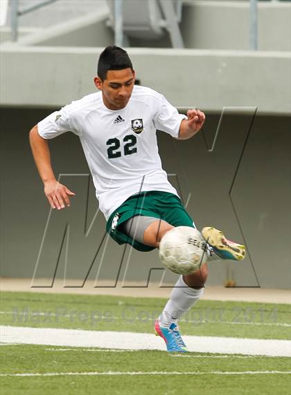 Thumbnail 1 in Ryan @ Birdville photogallery.