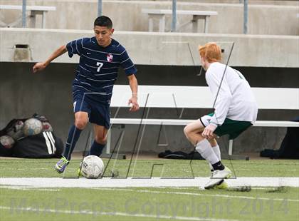 Thumbnail 1 in Ryan @ Birdville photogallery.