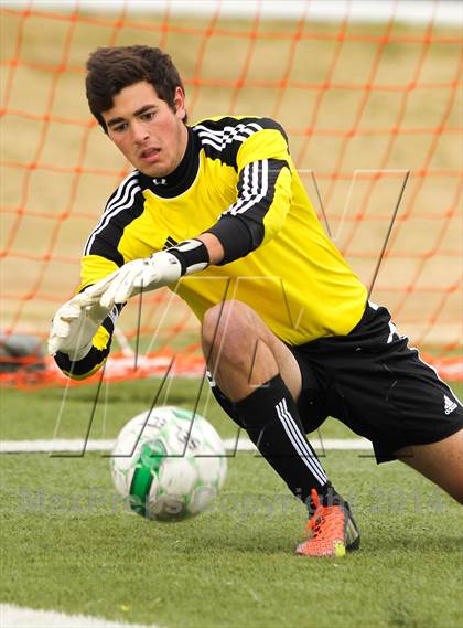 Thumbnail 3 in Ryan @ Birdville photogallery.