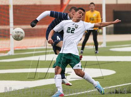 Thumbnail 3 in Ryan @ Birdville photogallery.