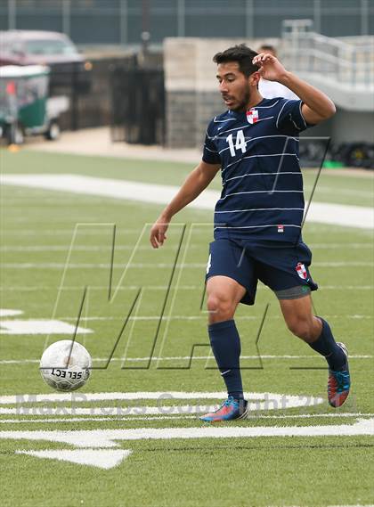 Thumbnail 3 in Ryan @ Birdville photogallery.