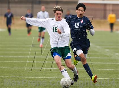 Thumbnail 3 in Ryan @ Birdville photogallery.