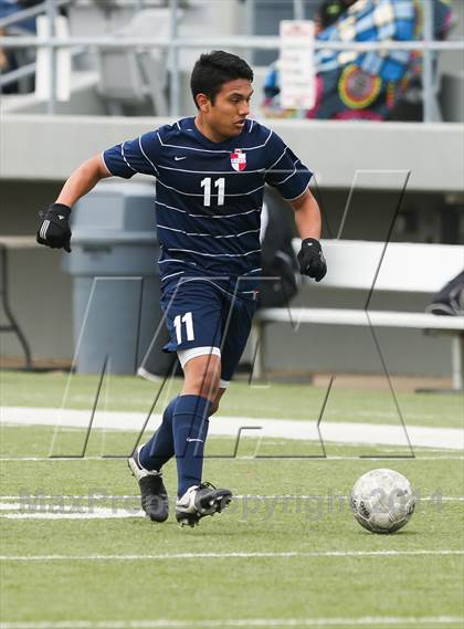 Thumbnail 3 in Ryan @ Birdville photogallery.