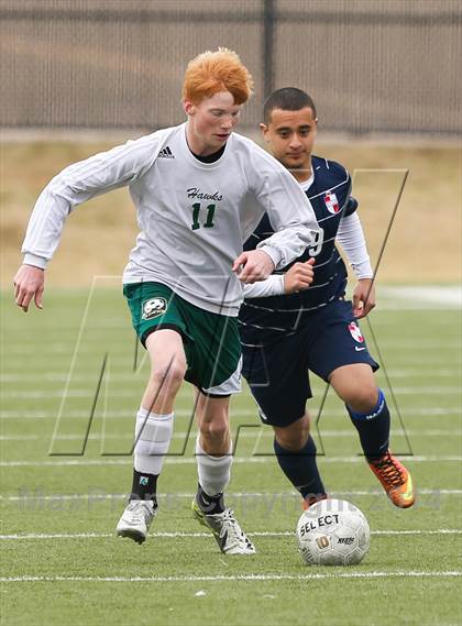 Thumbnail 2 in Ryan @ Birdville photogallery.