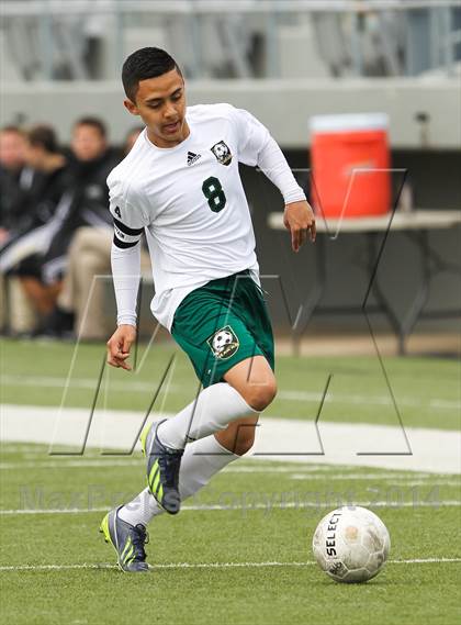 Thumbnail 3 in Ryan @ Birdville photogallery.