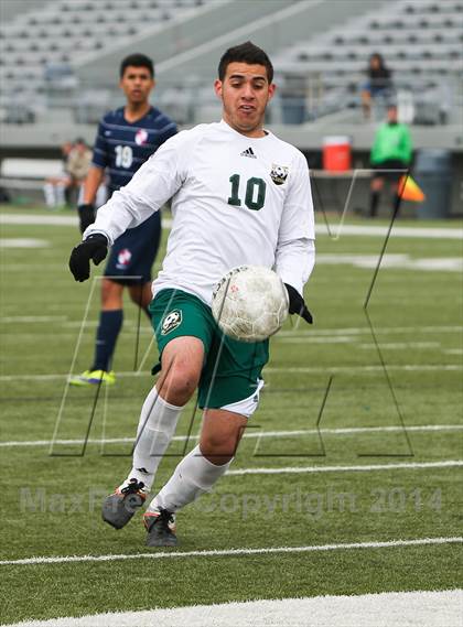 Thumbnail 3 in Ryan @ Birdville photogallery.