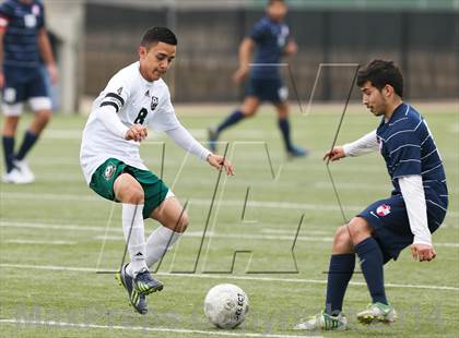 Thumbnail 1 in Ryan @ Birdville photogallery.