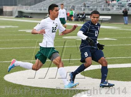 Thumbnail 1 in Ryan @ Birdville photogallery.