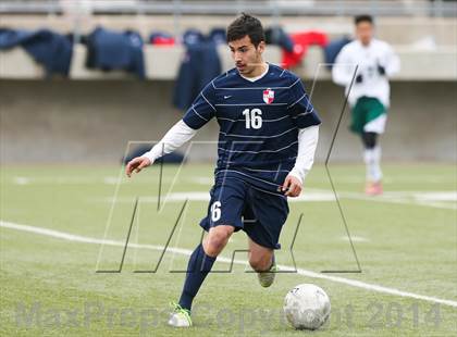 Thumbnail 2 in Ryan @ Birdville photogallery.