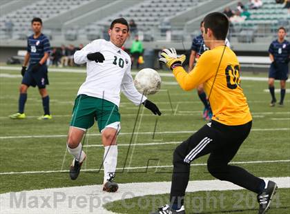 Thumbnail 1 in Ryan @ Birdville photogallery.