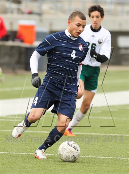 Thumbnail 1 in Ryan @ Birdville photogallery.