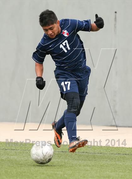 Thumbnail 2 in Ryan @ Birdville photogallery.