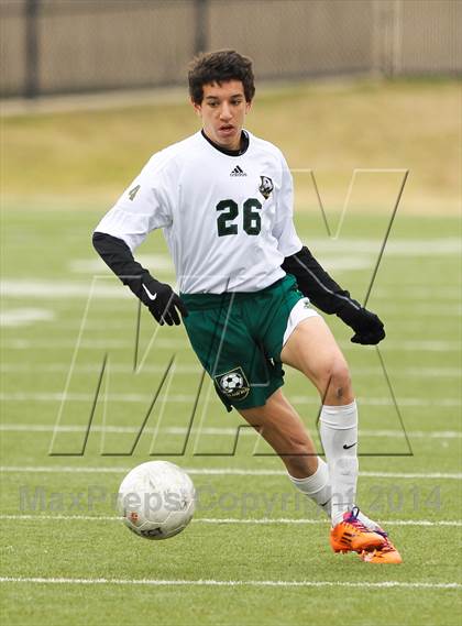 Thumbnail 1 in Ryan @ Birdville photogallery.
