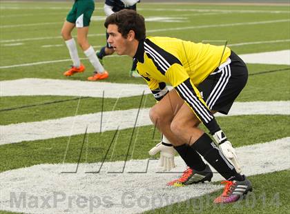 Thumbnail 1 in Ryan @ Birdville photogallery.