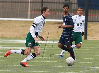 Thumbnail 2 in Ryan @ Birdville photogallery.