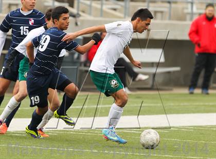 Thumbnail 2 in Ryan @ Birdville photogallery.