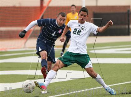 Thumbnail 2 in Ryan @ Birdville photogallery.