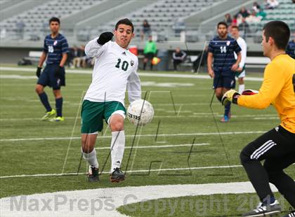 Thumbnail 3 in Ryan @ Birdville photogallery.