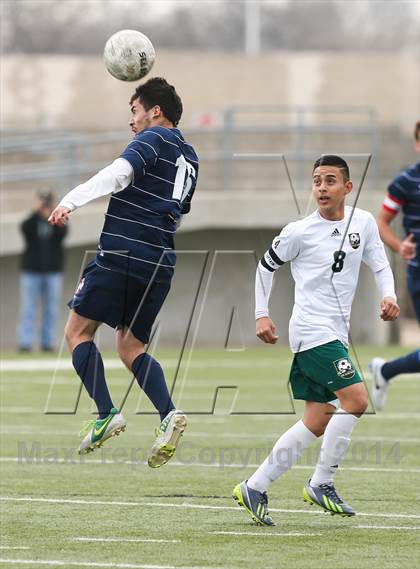 Thumbnail 1 in Ryan @ Birdville photogallery.