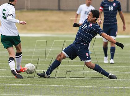 Thumbnail 1 in Ryan @ Birdville photogallery.