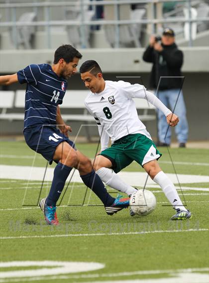 Thumbnail 1 in Ryan @ Birdville photogallery.