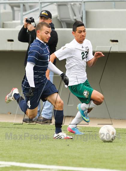 Thumbnail 3 in Ryan @ Birdville photogallery.