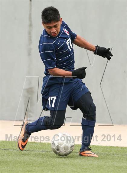 Thumbnail 3 in Ryan @ Birdville photogallery.