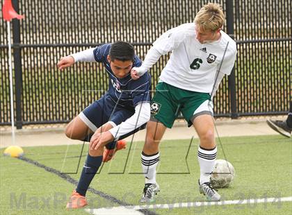 Thumbnail 2 in Ryan @ Birdville photogallery.