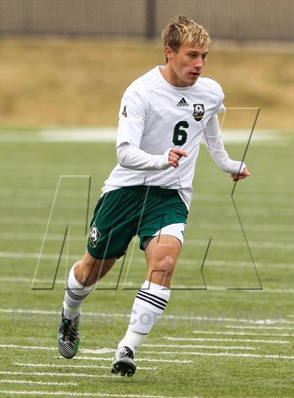 Thumbnail 3 in Ryan @ Birdville photogallery.