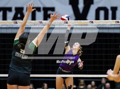 Thumbnail 2 in Neches vs. Harrold (UIL 1A Volleyball Final) photogallery.