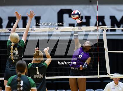 Thumbnail 3 in Neches vs. Harrold (UIL 1A Volleyball Final) photogallery.