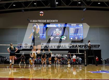 Thumbnail 3 in Neches vs. Harrold (UIL 1A Volleyball Final) photogallery.